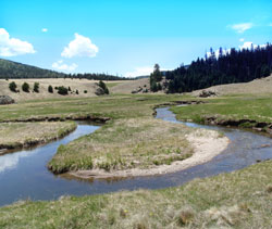 San Antonio Creek VCNP