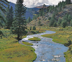 Costilla Creek