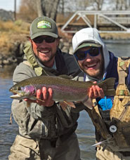 Conejos River Rainbow