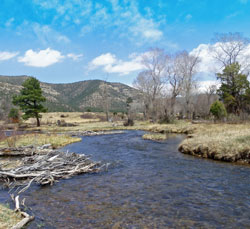 Cimarron River NM