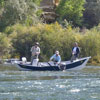 Nice One in the Net - San Juan River, New Mexico