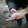 Teaching Kids to Fly Fish - Brazos River Ranch, NM