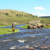 High Mountain Stream Fishing in Northern New Mexico