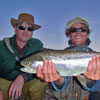 Big Rainbow on a Mouse Pattern - Brazos River Ranch, NM