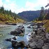 Fall Fly Fishing on the Chama River in New Mexico