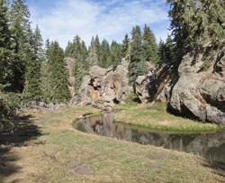 E Fork Jemez River NM
