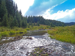 Los Pinos River NM