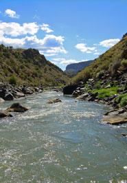 Rio Grande Fly Fishing
