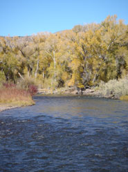 Fall Fishing Conejos