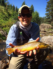 Wolf Creek Brown Trout