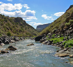 Rio Grande Fly Fishing