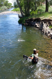 River Fly Fishing Santa Fe