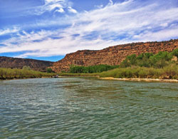 San Juan River NM