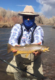 Mountain Brown Trout