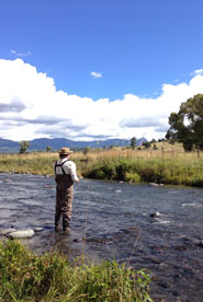 Chama River Fly Fishing