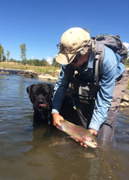 Chama River Rainbow Trout