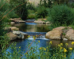 Cow Creek Ranch