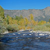 Early Fall Fly Fishing on the Lower Brazos River in New Mexico