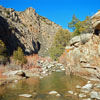 Mid-March in a Wild Canyon Stretch of a New Mexico Stream - Rio Grande Cutthroats?