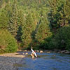 Putting One in the Net - Late Summer Evening at the MK Ranch on the Navajo River
